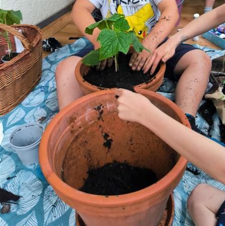 kleine Kinder beim Umtopfen von Pflanzen