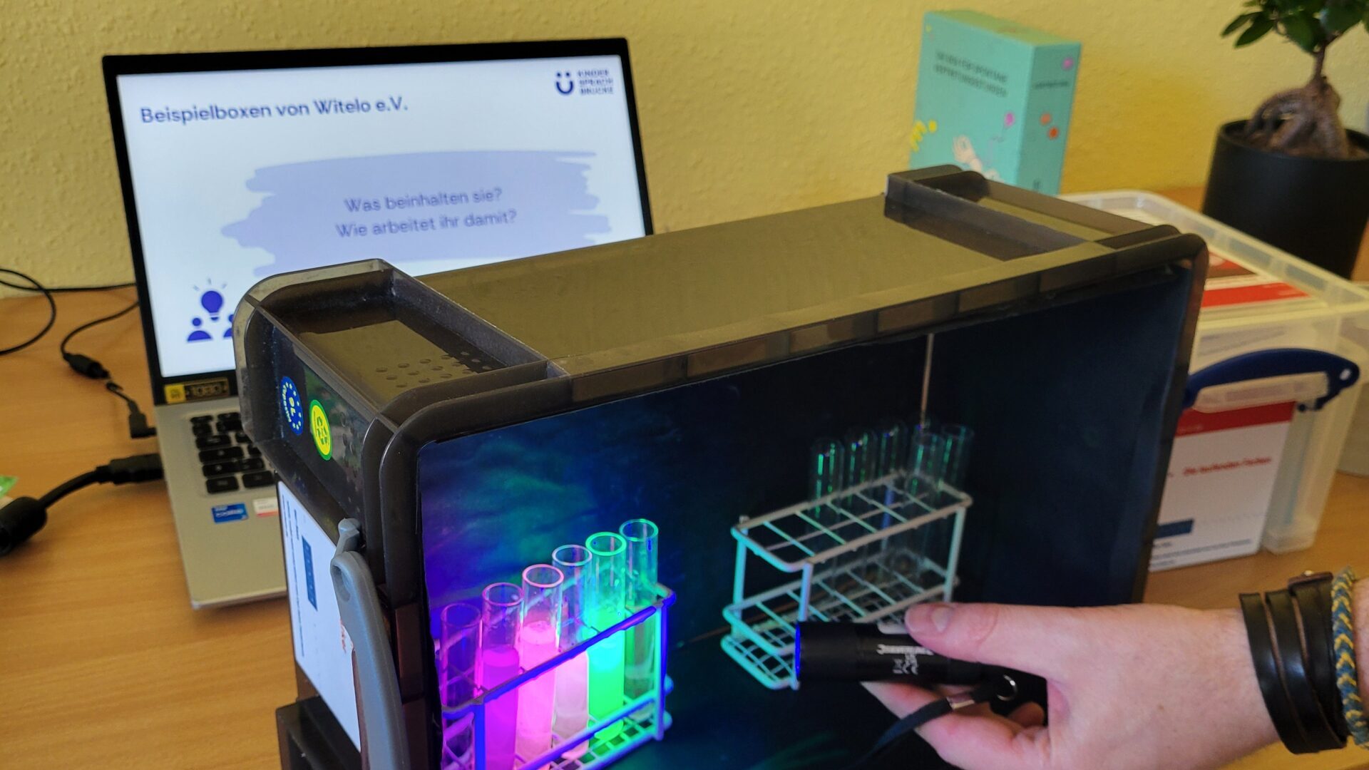 Hand hält eine UV-Lampe an eine abgedunkelte Box mit Reagenzgläsern, die im UV-Licht pink und grün fluoreszieren