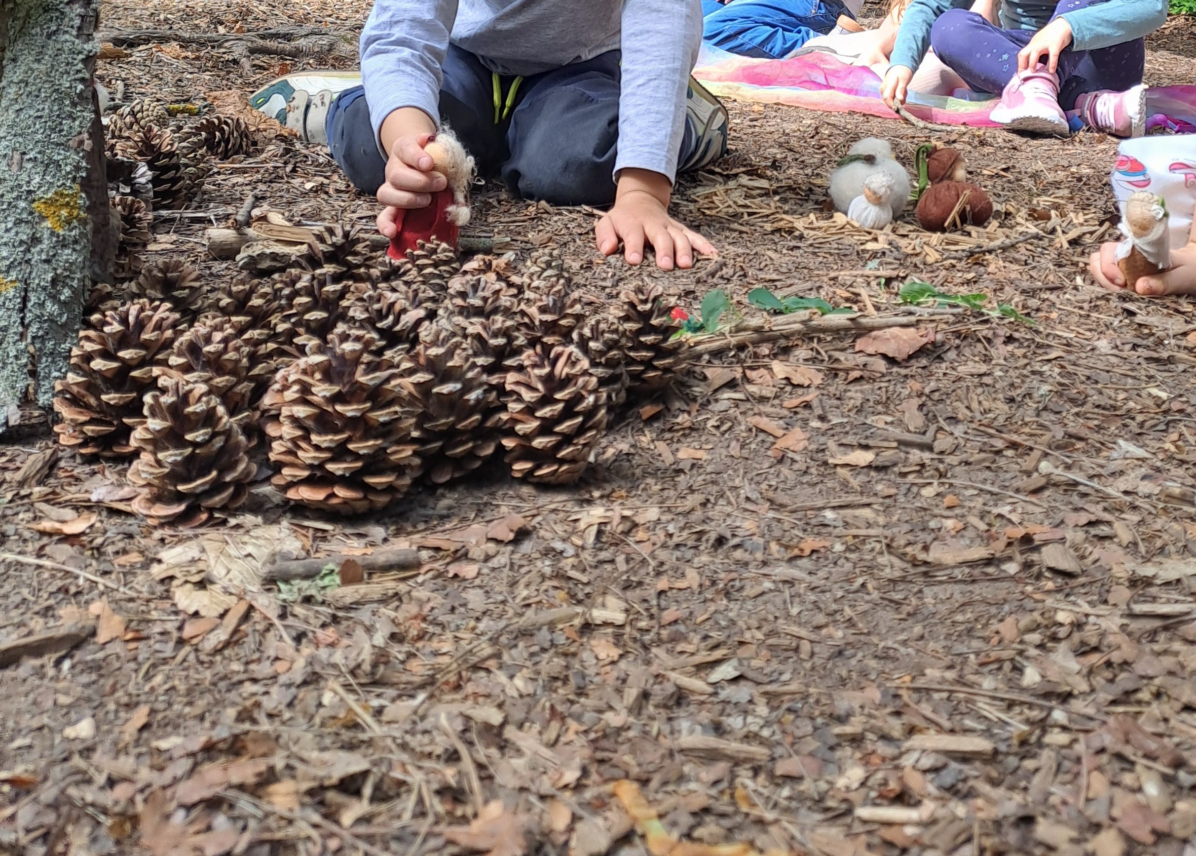 Kinder sitzen auf dem Waldboden und legen Tannenzapfen zu einer Raupe mit rotem Wichtel